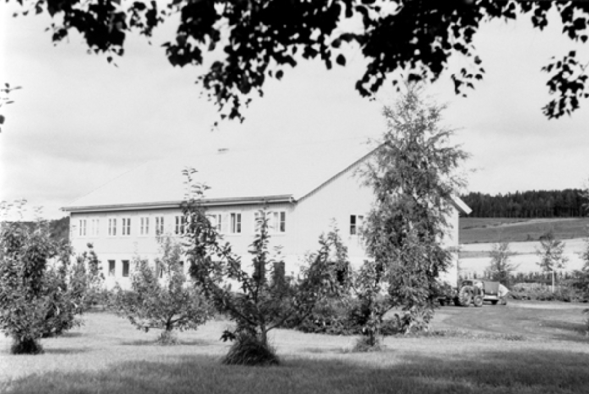 Anno Domkirkeodden, Kise forsøksgård for fruktdyrking, Nes, Ringsaker. Den eldste bygningen, driftsbygningen. I forgrunnen er epletrær. Grunnstammeforsøk med Gravensten.