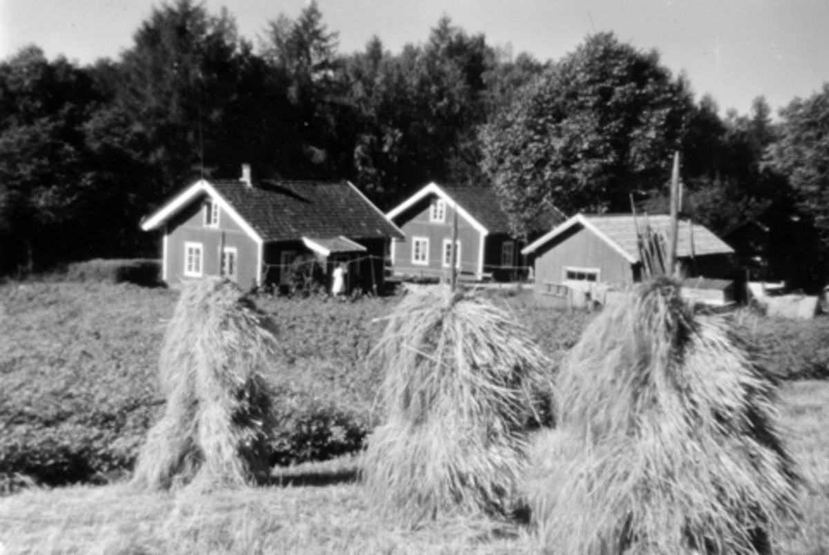 Anno Domkirkeodden, Kornsneis på staur ovenfor portstuene (innerstboliger) på Hoel gård, Nes, Hedmark. De ble revet i 1947.