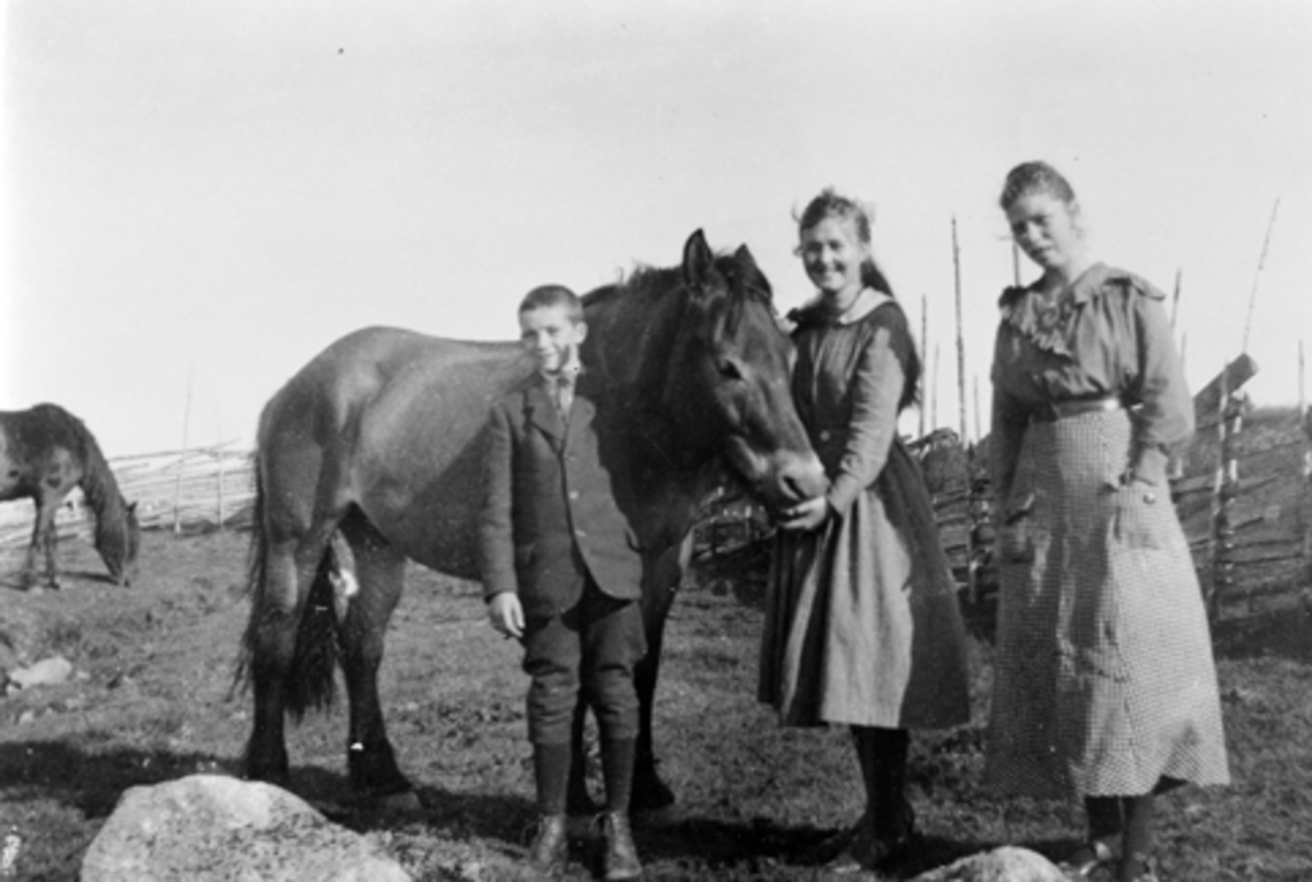 Anno Domkirkeodden, Fra Nysetra på Øyungen, Ringsaker almenning. Fra venstre er Thor Bjerke, Hjørdis Lier, Oddlaug Jevanord og hest.