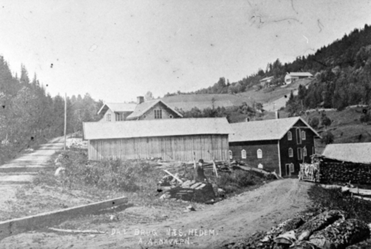 Anno Domkirkeodden, Eksteriør, Dal bruk, Nes, Hedmark. A. Arnkværn. Mølle fra 1897, senere også sagbruk. I bakgrunnen Bergestuen.
