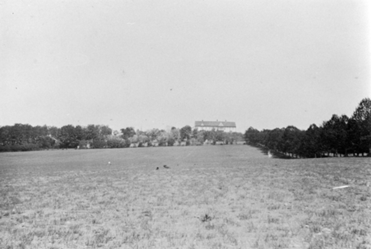 Anno Domkirkeodden, Hovedbygningen på Hoel gård, Nes, Hedmark sett fra Mjøsa. Lindealle.