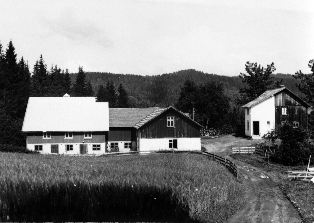 Anno Domkirkeodden, Veum, Nes, Hedmark. Slutten av 1950-åra.