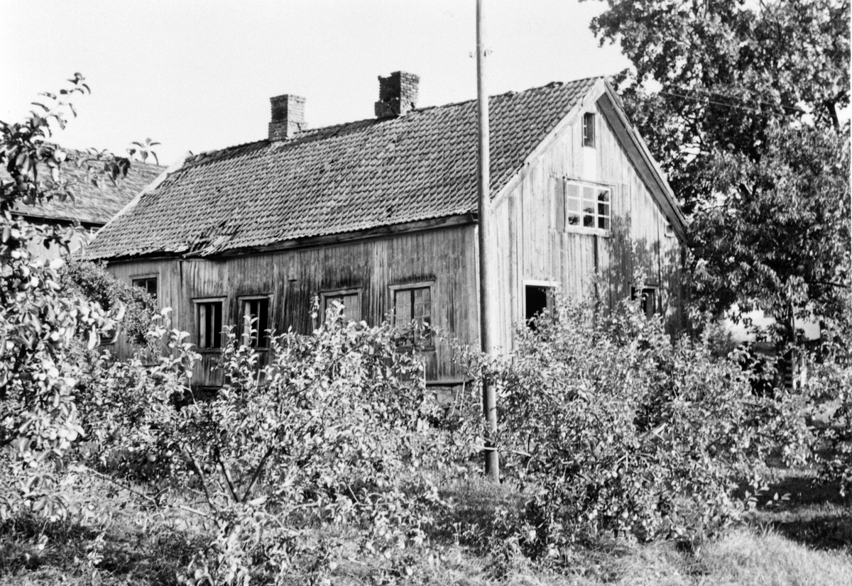 Anno Domkirkeodden, Føderådsbygning på Hilstad nedre, Stavsjø, Hedmark.