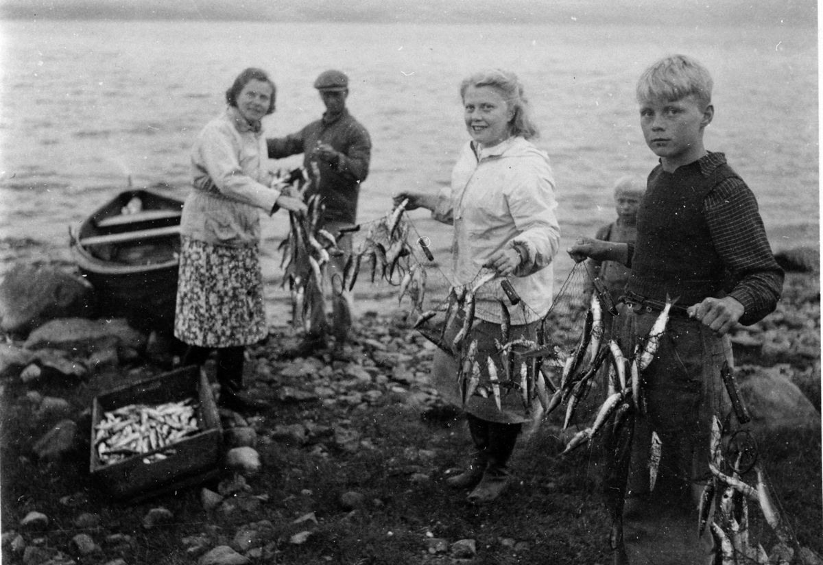 Anno Domkirkeodden, Lagsildfisk på Baldishoelstranda. Fra venstre er Ingeborg Farup, Konrad Viken, Rønnaug Borud, Svein Erik Mølstad.
