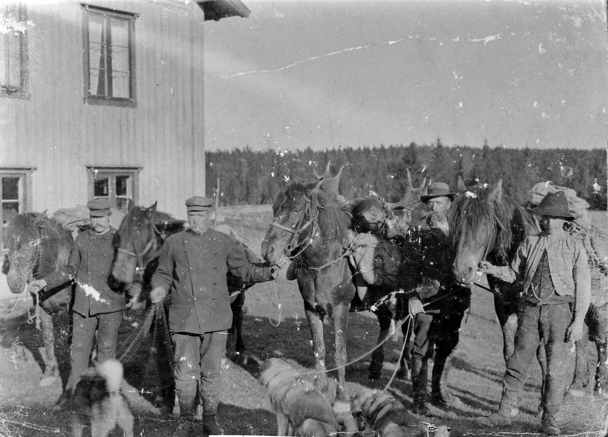 Anno Domkirkeodden, Elgjegere med hester og hunder på Bergundhaugen, Ringsaker. Kløving av elgslakt. Elghode. Fra venstre er ukjent, Thore Lien, Nils Lien, ukjent.
