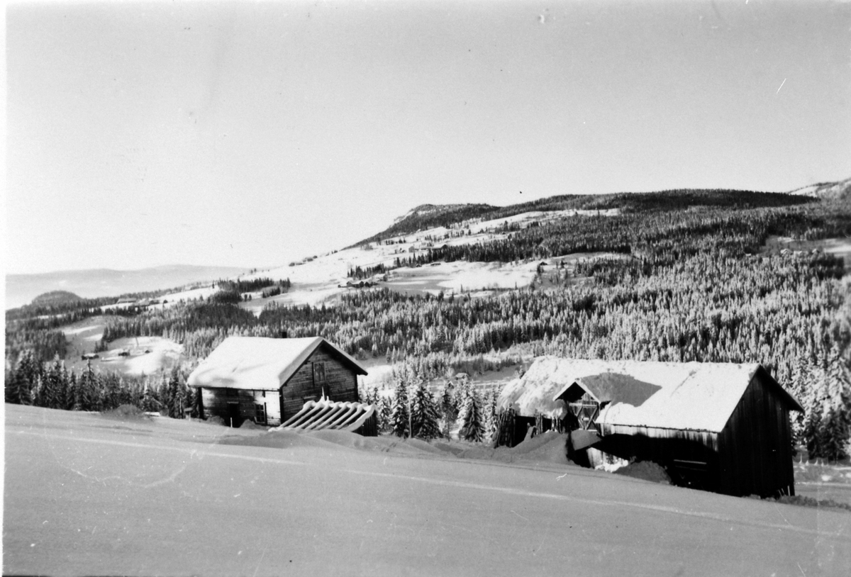 Anno Domkirkeodden, Nordsvea (eier Paul Blystad), utsikt mot Ring, Amblisberget, Næroset, Ringsaker.