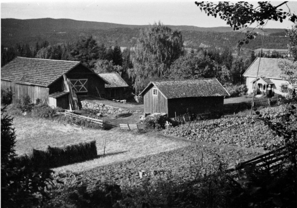 Anno Domkirkeodden, Garden Sløttet øvre, Moelv, eier var Martin Haugen.