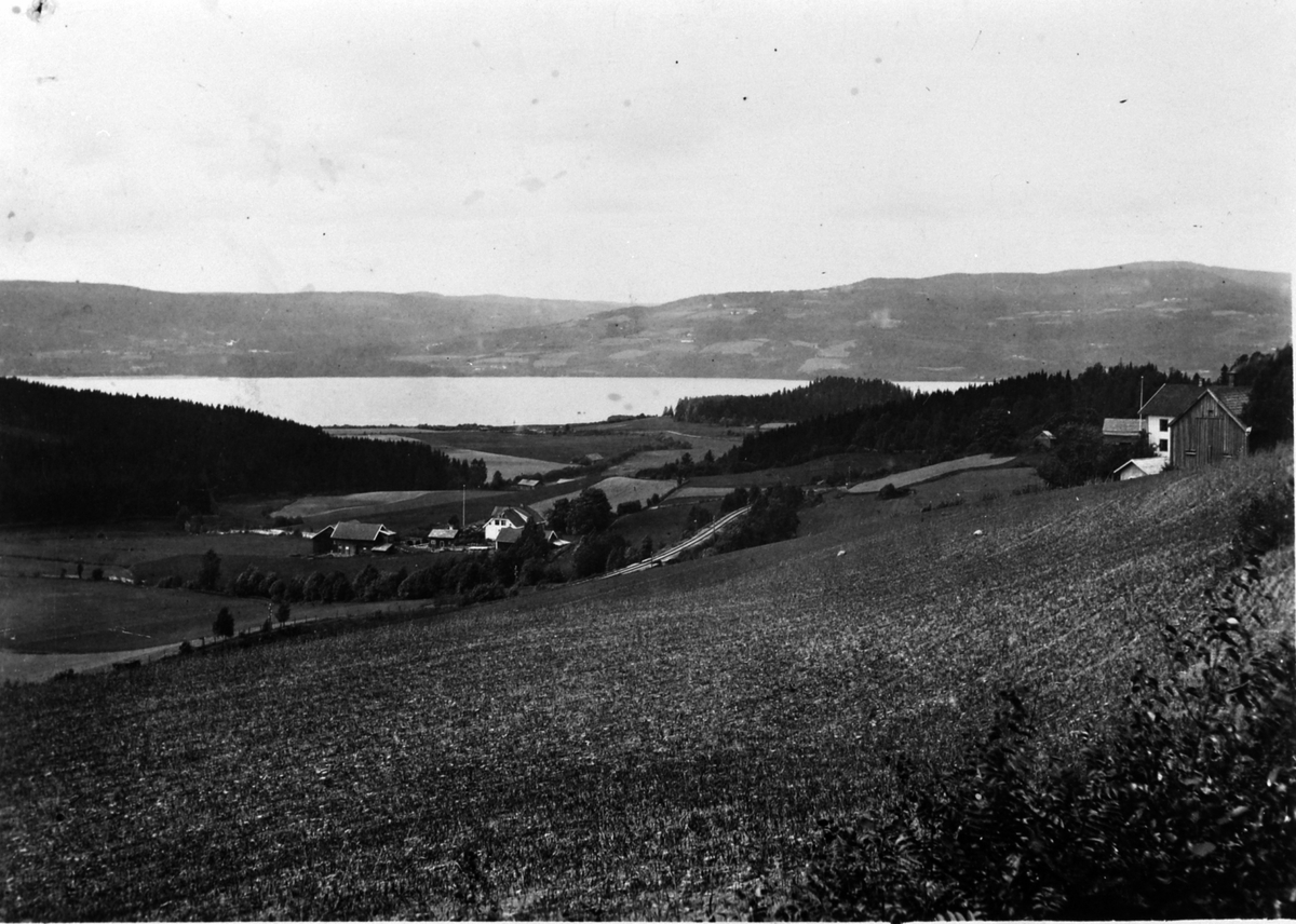 Anno Domkirkeodden, Bekkelund gård, Ringsaker, utsikt mot Mjøsa, Tømten gård til høyre. 1910-tallet.