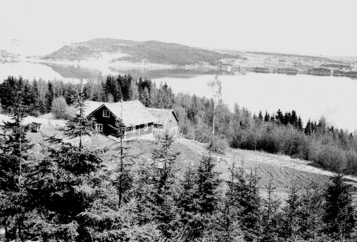 Anno Domkirkeodden, Husmannsplassen Kampenhøi, Grefsheim, Nes, Hedmark. Utsikt mot Mjøsa og Furuberget.