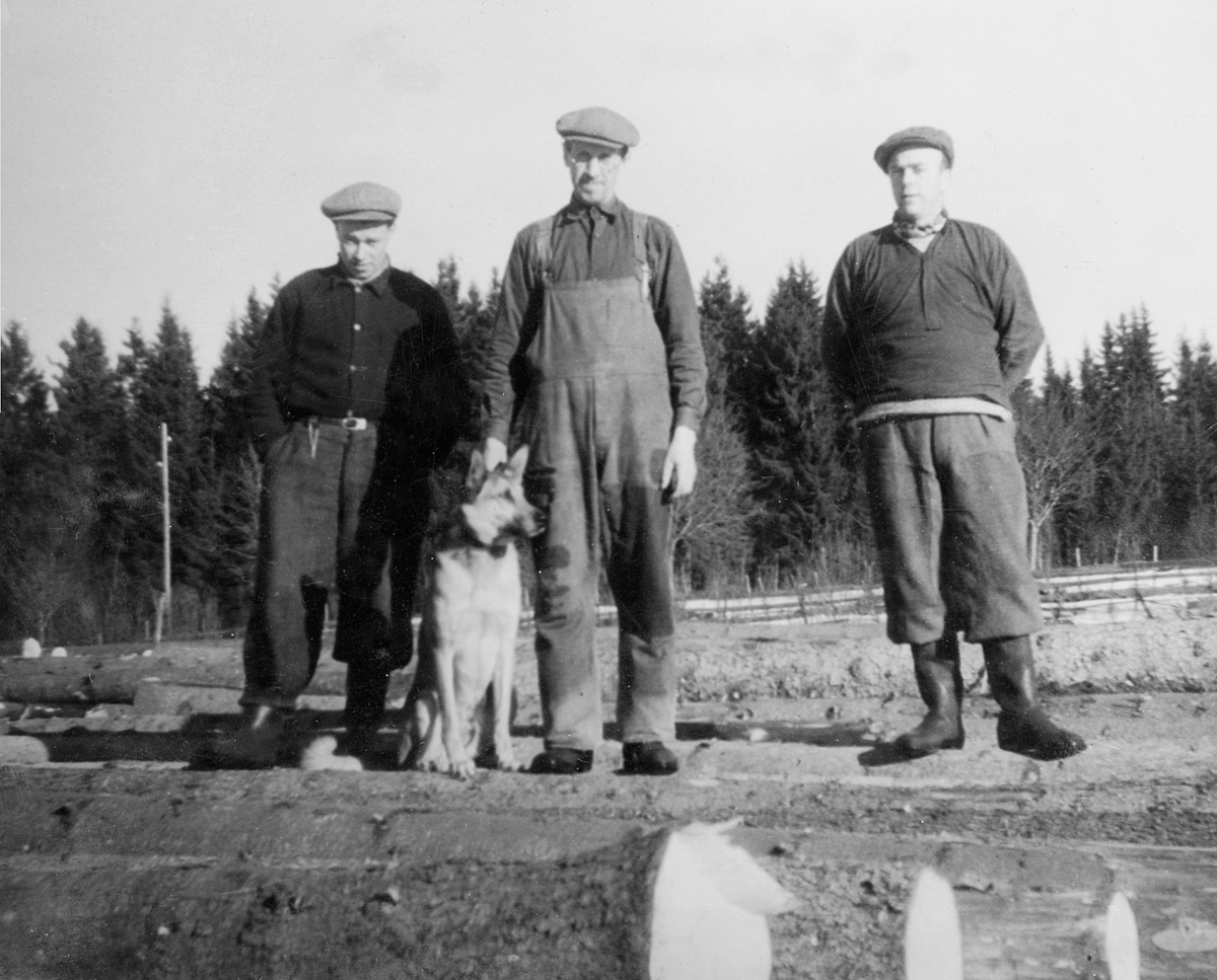 Anno Domkirkeodden, Tre gardsarbeidere og hund på Aske østre, Nes, Hedmark ca. 1950. Fra venstre er Anders Smeby, Einar Johansen, Arne Holter.