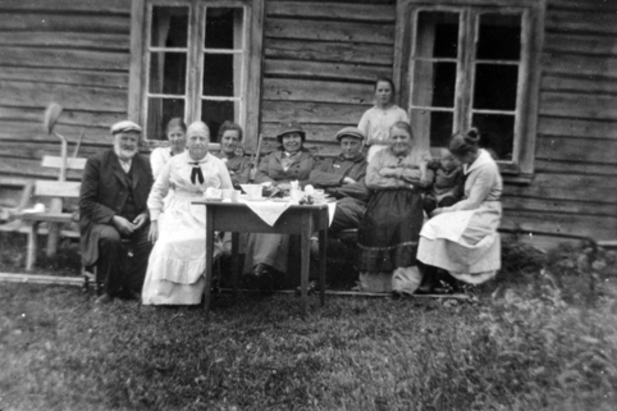 Anno Domkirkeodden, Nordvang, Fuglsengsetra, Sør-Mesna, under Simenstad gard i Veldre. Bnr. 138-1. Dina og Anstein Simenstad, ukjent plassering.