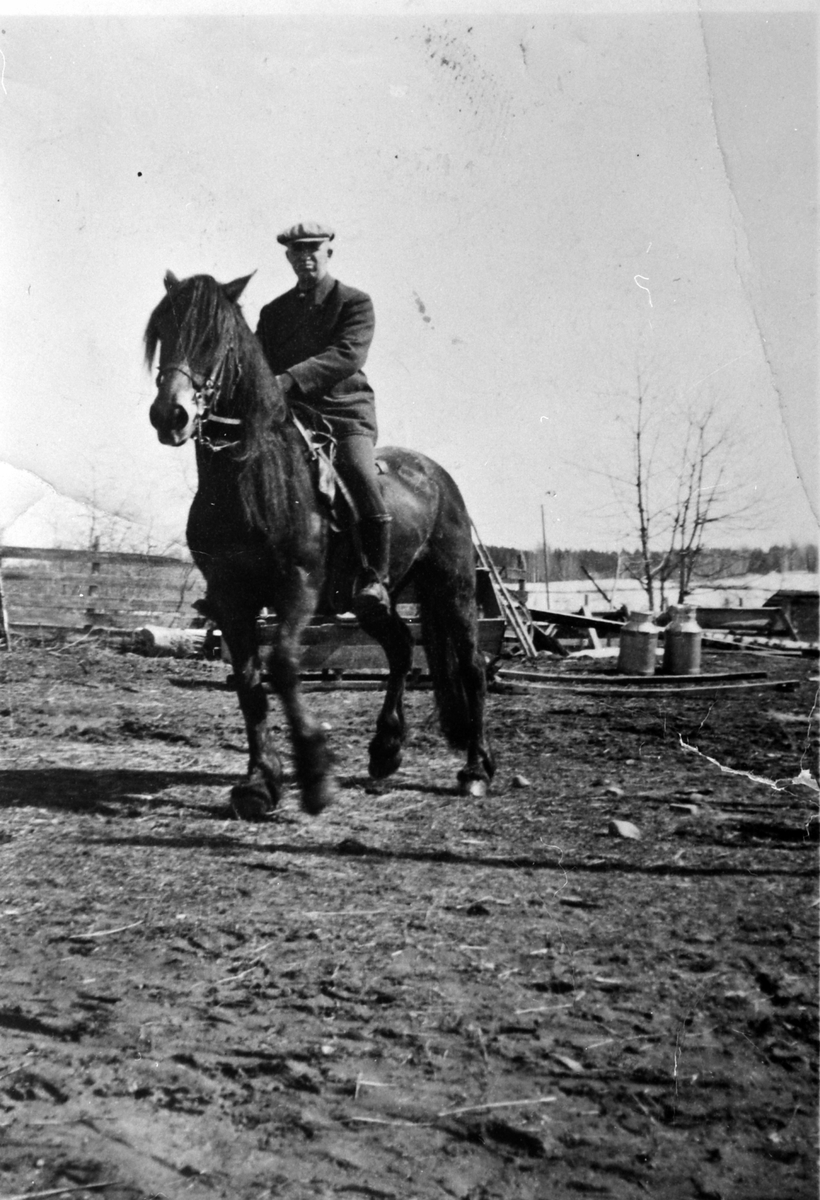 Anno Domkirkeodden, Alf Andersen (1895-1976) på hesten Bruno. Han var bruker på Faugli, Ringsaker fra 1927-64.