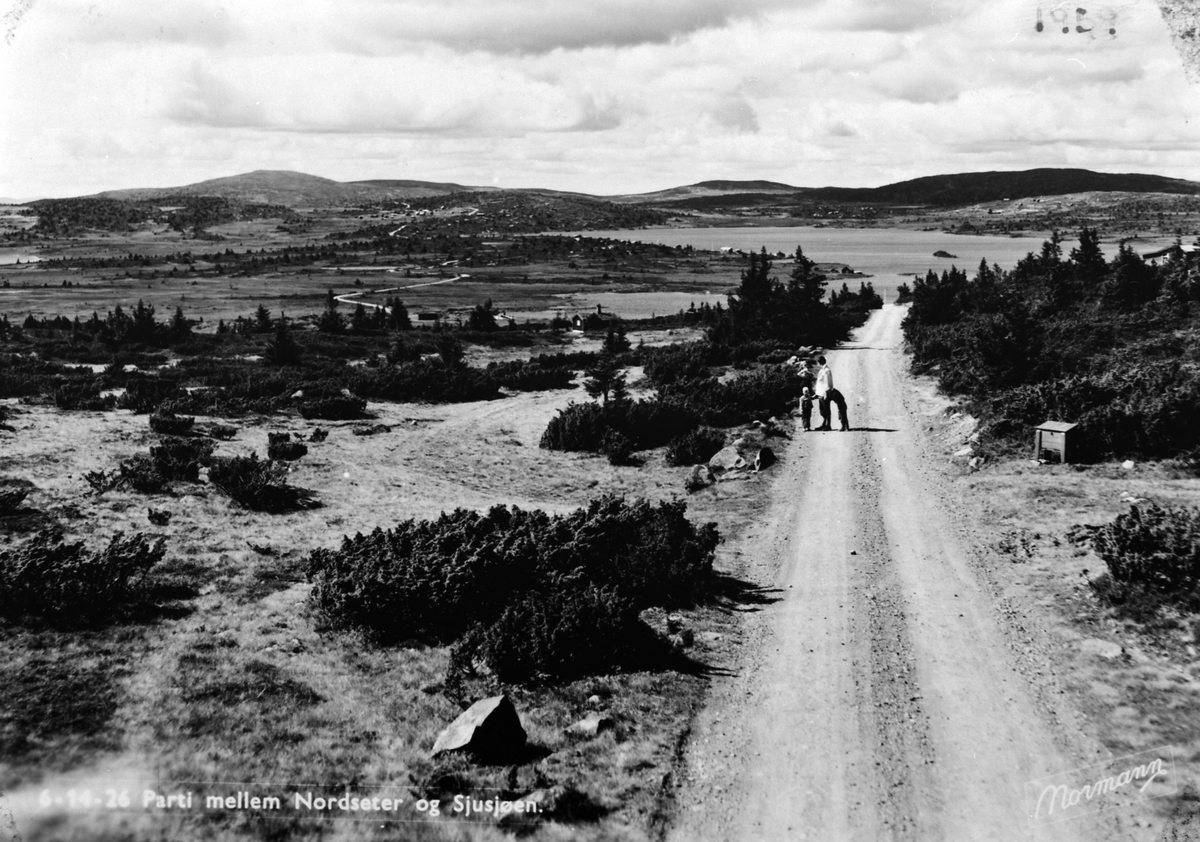 Anno Domkirkeodden, Vegen mellom Nordseter og Sjusjøen, fjellandskap. 1959.