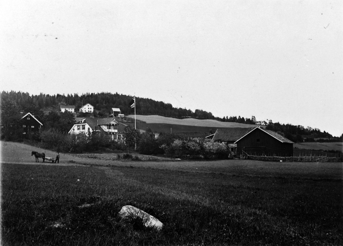 Anno Domkirkeodden, Ukjent gardsbruk. Mann i arbeid med hest og åkerrulle på jordet.