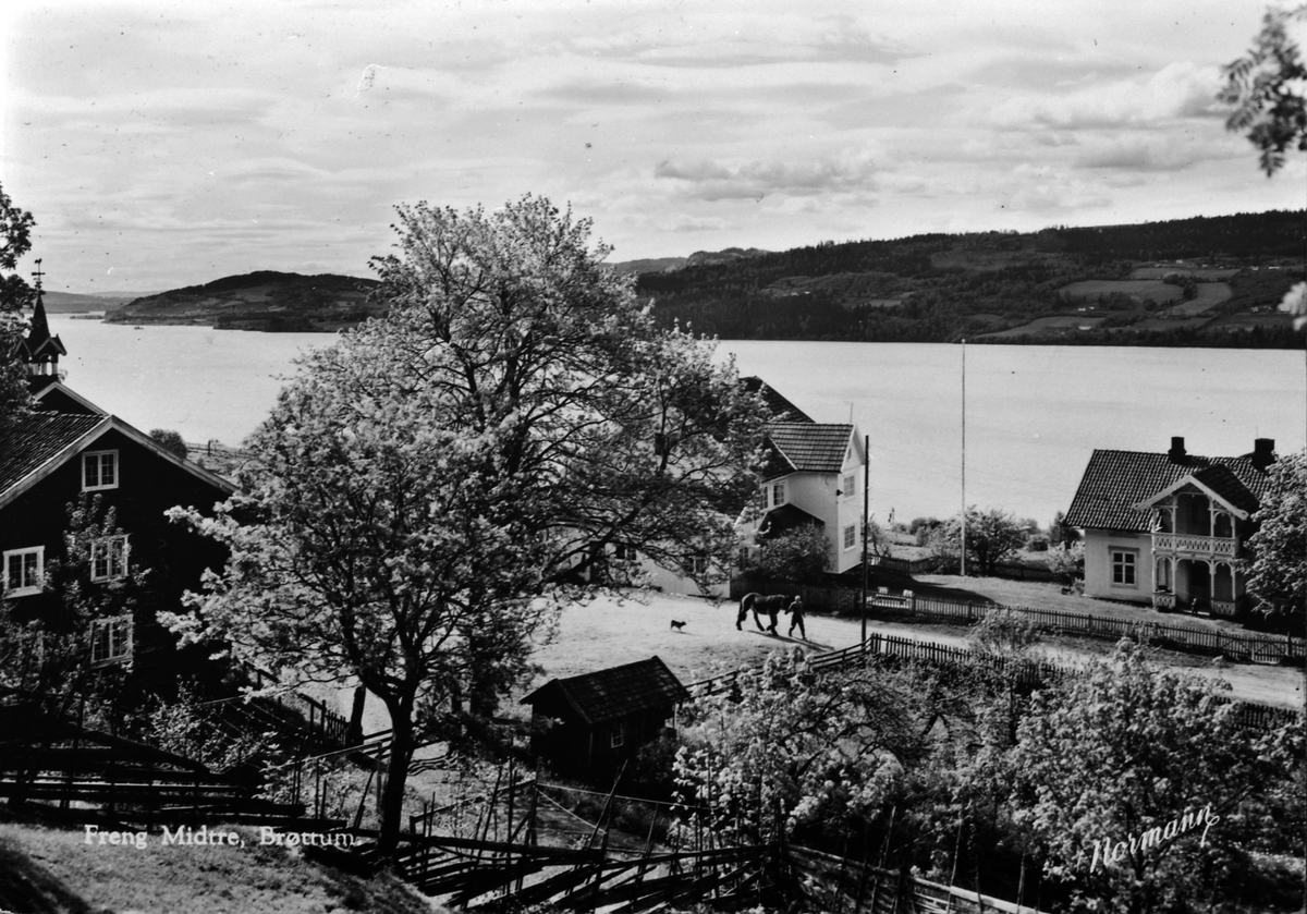 Anno Domkirkeodden, Eksteriør, Freng midtre, Brøttum, Ringsaker.