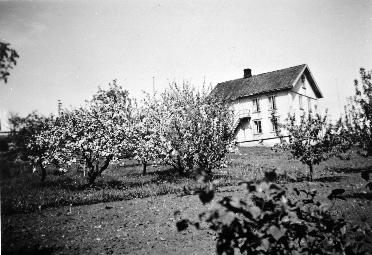 Anno Domkirkeodden, Hovedbygning og hage, Gårum gård, pleiehjem, Nes, Hedmark. 1946.