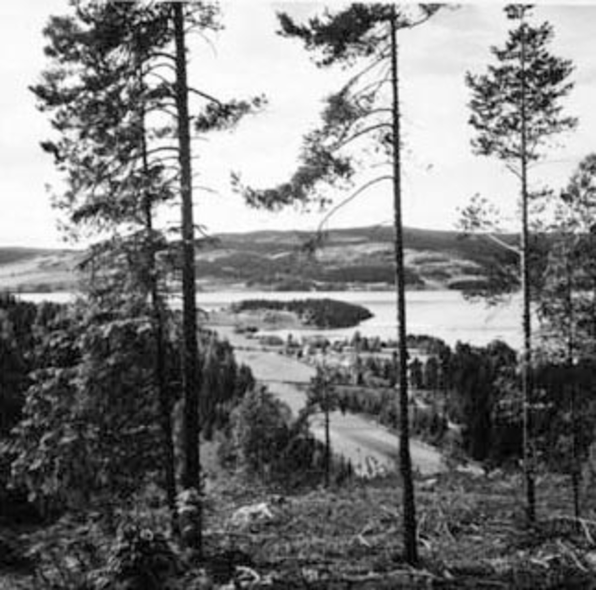 Anno Domkirkeodden, Domstuguberget, prestergardsskogen, bygdeborg fra folkevandringstiden. Oppmålt av Anders Hagen fra universitetets oldsaksamling i juni 1943.