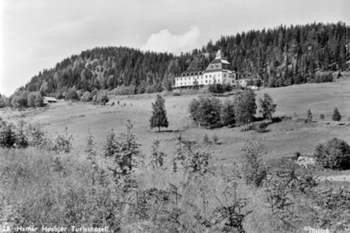 Anno Domkirkeodden, Eksteriør, Høsbjør turisthotell, Furnes, ca. 1954.