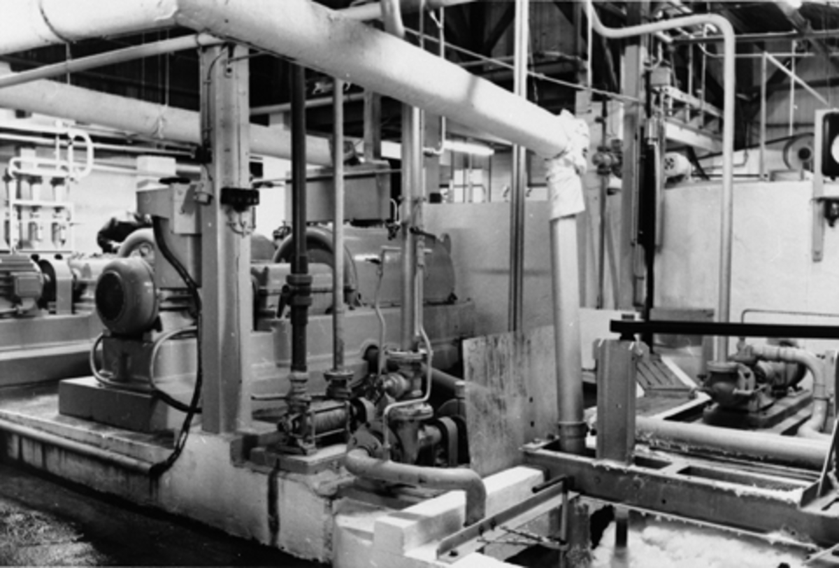 Anno Domkirkeodden, Jessnes Potetmjølfabrikk, Hedmarkens Potetmelfabrikk. Interiør, produksjonslokale.