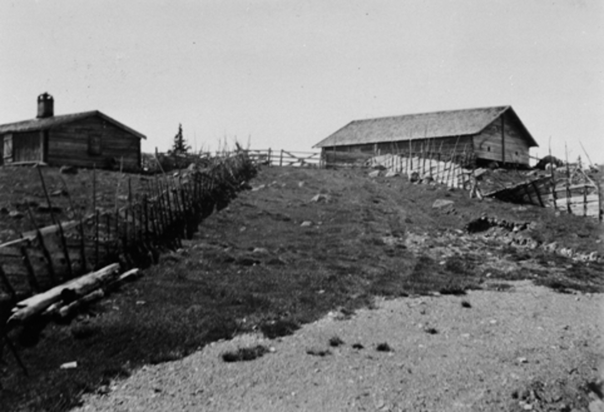 Anno Domkirkeodden, Åkersetra med størhus og fjøs. Skigard.