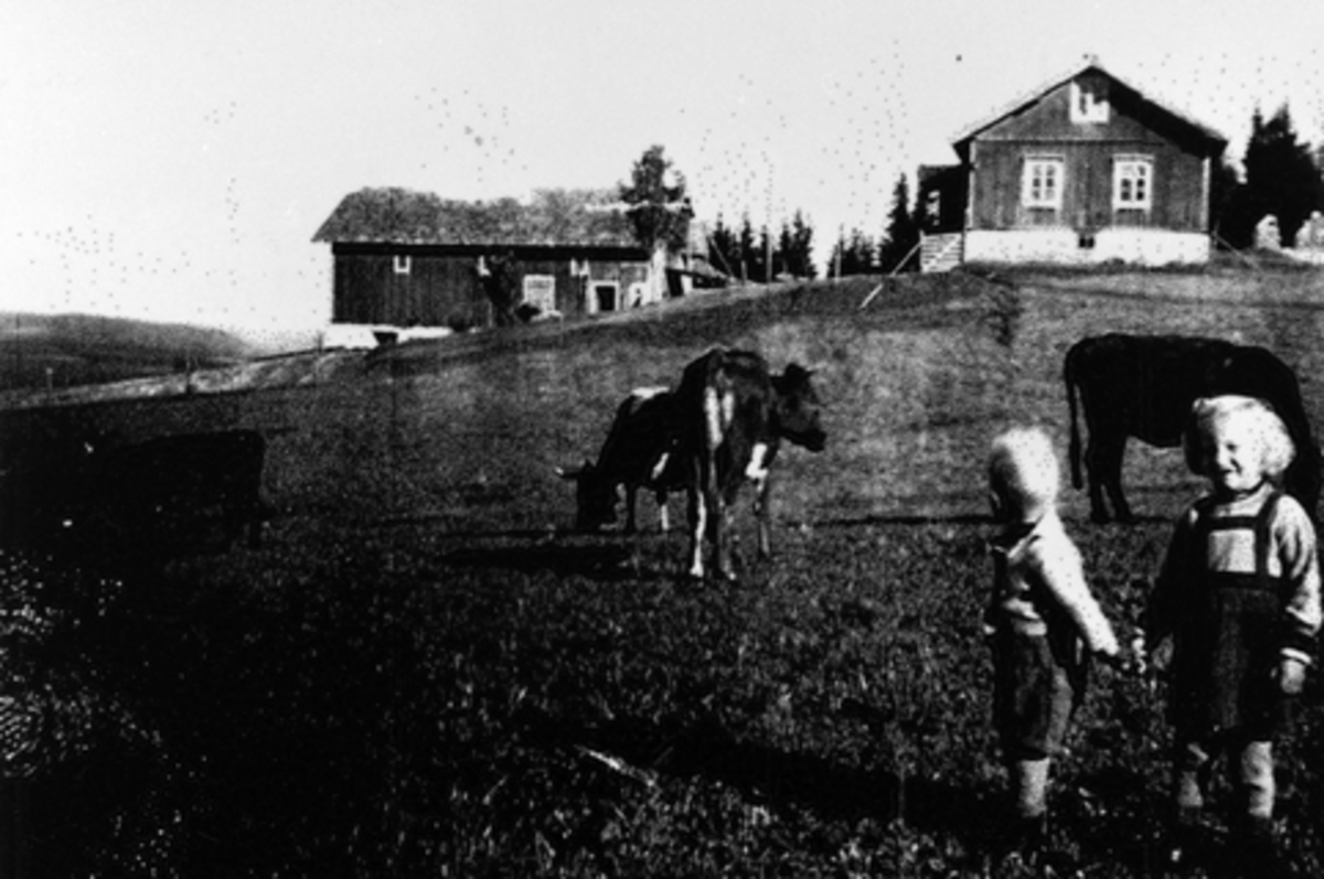 Anno Domkirkeodden, Oddveig Børkesveen (F. Bakkerud) og Jon Bakkerud på Soput i Nordåsen, Furnes. 1946.