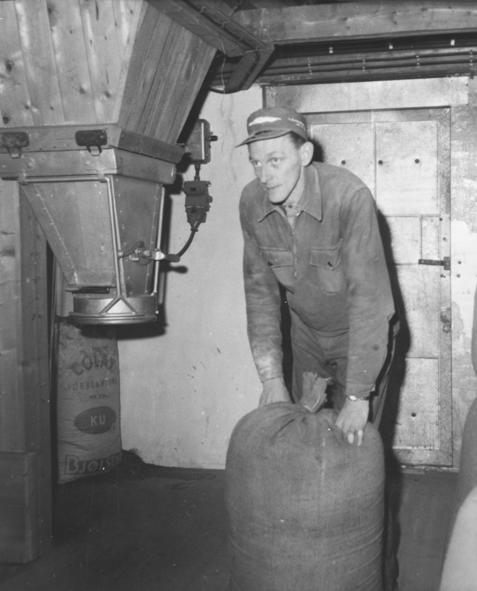 Ukjent, Kvisla mølle og møller Arne Kjellvold (født 1922)