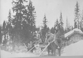 Anno Domkirkeodden, TØMMERLUNNING, TRANSPORT AV TØMMER MED HEST, KJØRKARER FRA HØYRE: ANDREAS STENBERG, OLE NYSTUEN, MARTIN NYSTUEN, KRISTIAN STENBERG, ANDREAS NYSTUEN, KOIE: BORREGÅRD, ÅSTADALEN, VANG ALLMENNING