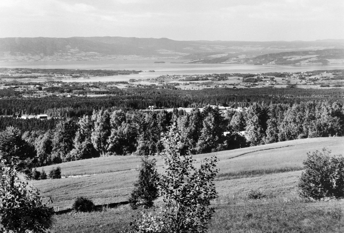 Anno Domkirkeodden, UTSIKT FRA VANGSETER MOT HAMAR OG MJØSA, VANGSÅSA