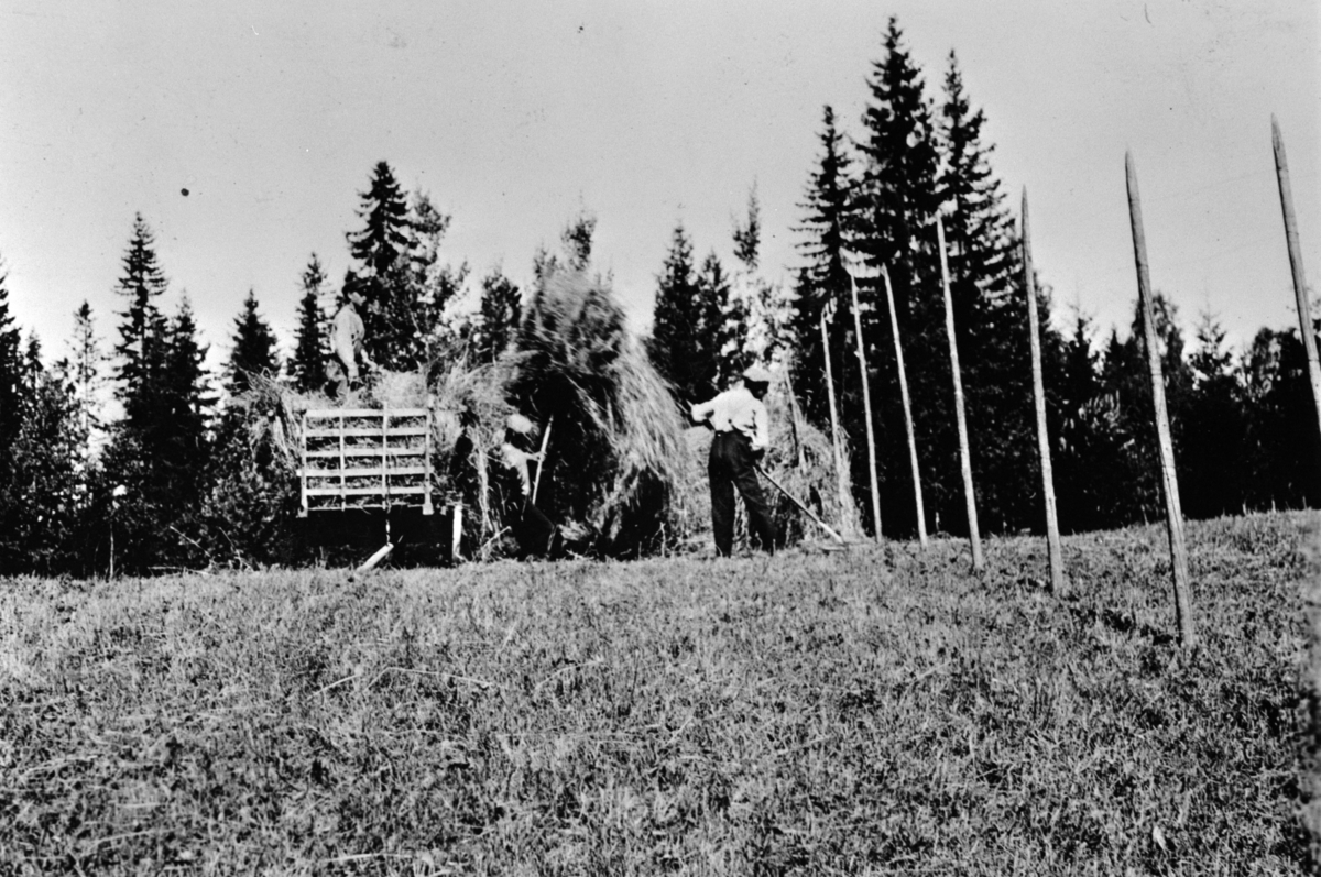 Anno Domkirkeodden, HØYONN, HØYKJØRING, BAKLYKKJA, HAFSAL,