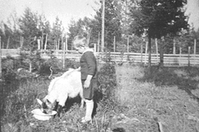 Anno Domkirkeodden, FINN LARSEN, GJET DRIKKER VANN, ØSTÅS SKOLE