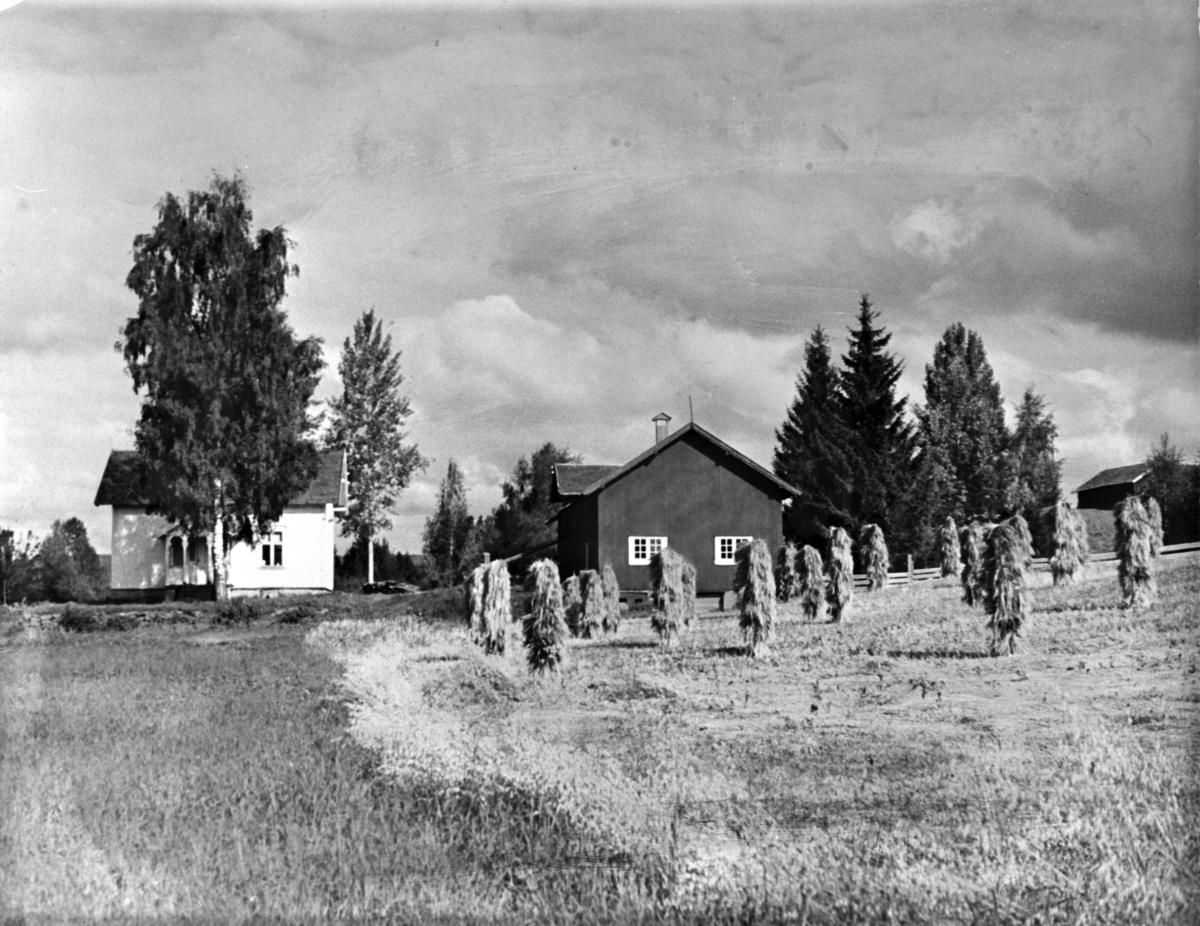 Anno Domkirkeodden, EKSTERIØR: SMÅBRUK GRUBHOL, KORNSNEIS G. br. nr 67-4. GRUBHOLVEGEN 1, 2324 VANG PÅ HEDMARKEN