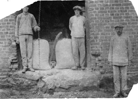 Anno Domkirkeodden, GRUPPE: 3 MØLLERE, KVÆKA MØLLE, KVEKA, FRA VENSTRE: KRISTOFFER SKANSEN, OSKAR NILSEN, EMIL NILSEN, MELSEKKER