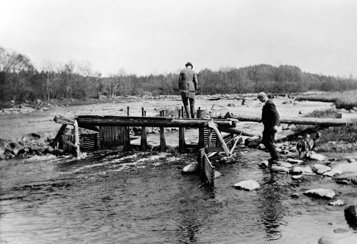 Anno Domkirkeodden, OPPBYGD FISKEBYGNING, ÅPNE SLUSER, 2 MENN INSPISERER, SVARTELVA, SE BOK: HUITFELDT KAAS