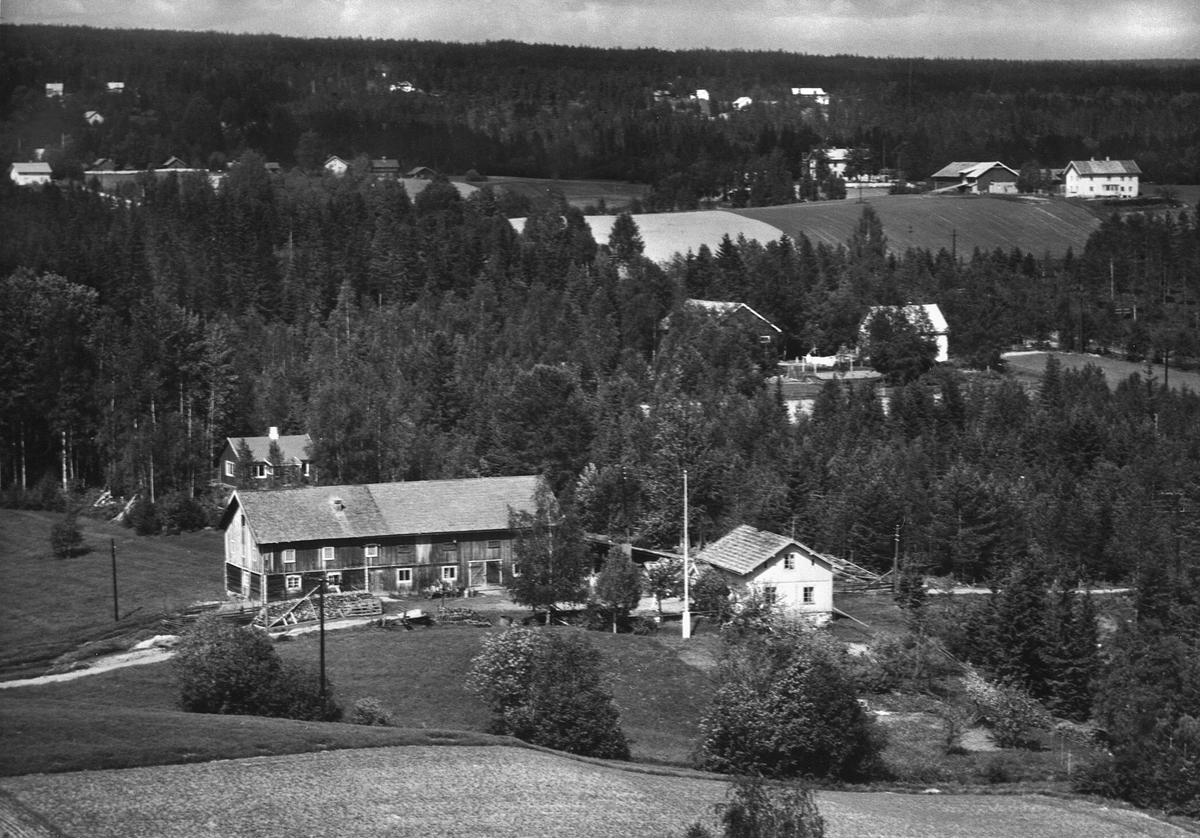 Anno Domkirkeodden, FLYFOTO: ÅLERUDSRØNNINGEN GÅRD