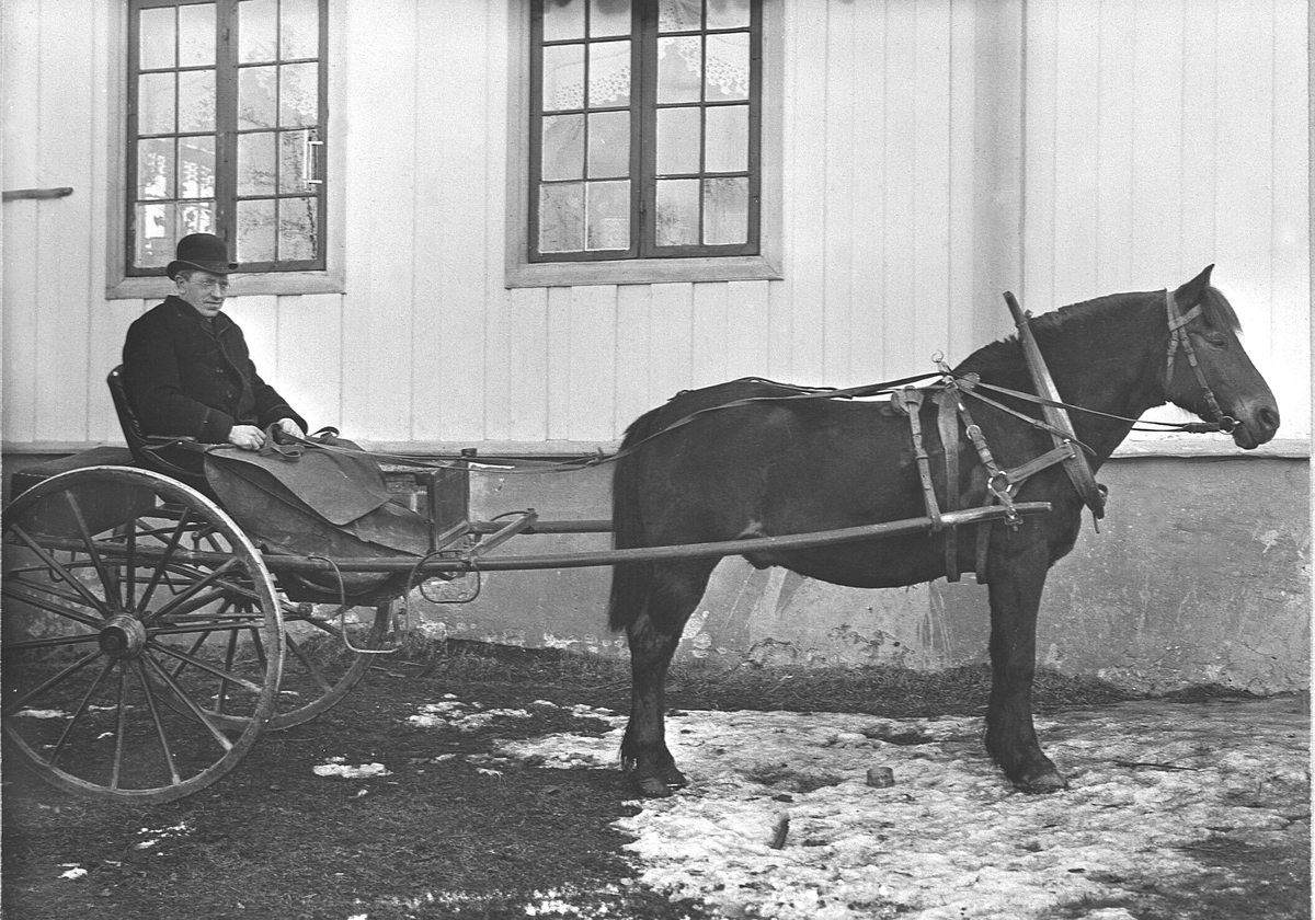 Anno Domkirkeodden, HESTEN VELTSVARTEN MED KARJOL, OLE SKRAMSTAD KUSK, SKRAMSTAD VESTRE