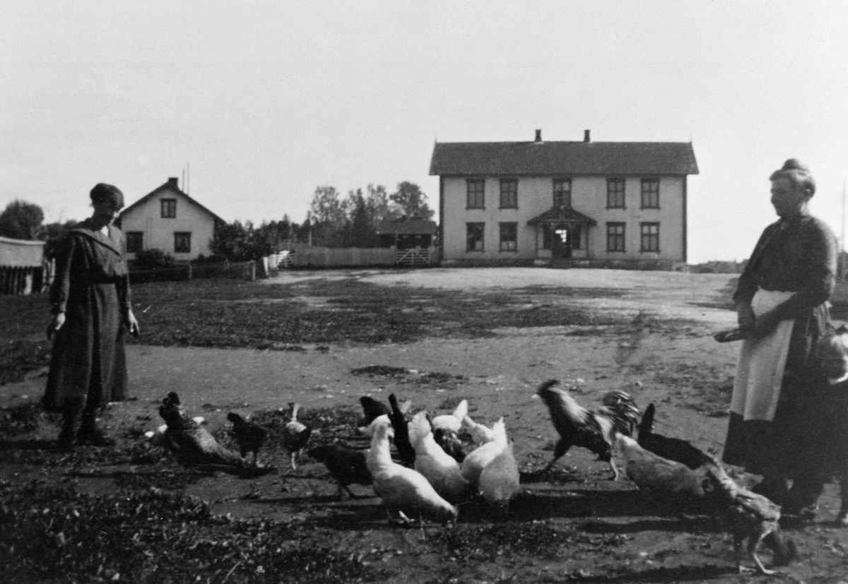 Anno Domkirkeodden, VANG KLOKKERGÅRD MOT KIRKEKRETSEN SKOLE, 2 DAMER MATER HØNER: INGEBORG STUBSTAD TIL HØYRE, RIDABU