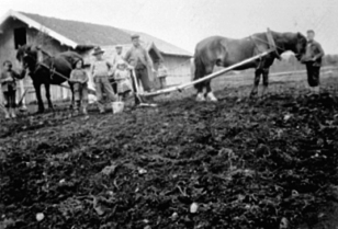 Anno Domkirkeodden, VÅRONN, ARDING OG HEST, BØRRE ALDERSLYST TIL HØYRE, THORKILD VED ARDEN, HÅVARD TIL HØYRE FOR FAREN, BARNA: MAGNE, GUSTAV, KÅRE, THORBJØRN, ALDERSLYST