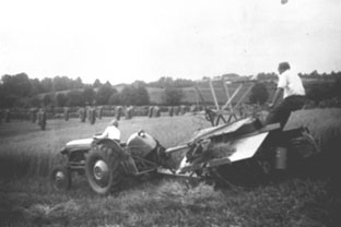 Anno Domkirkeodden, SKURONN, GUNNAR INGVOLDSTAD PÅ SELVBINDER BAK GRÅTASS FORDSON TRAKTOR, INGVOLLSTAD LILLE. Asbjørn Lageråen kjører traktoren.