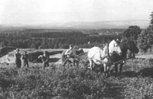 Anno Domkirkeodden, HØYONN, SLÅTTONN, GUDBRAND SKJESET PÅ SLÅMASKIN MED HEST, KAREN VESTIN, KAREN BUSTERUD, GUTT, SKJESET MITTRE