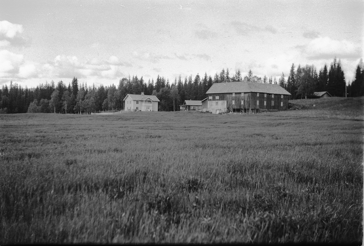 Håkon Prestkværn, Haug gård, Mesnalia. Kulturlandskap.