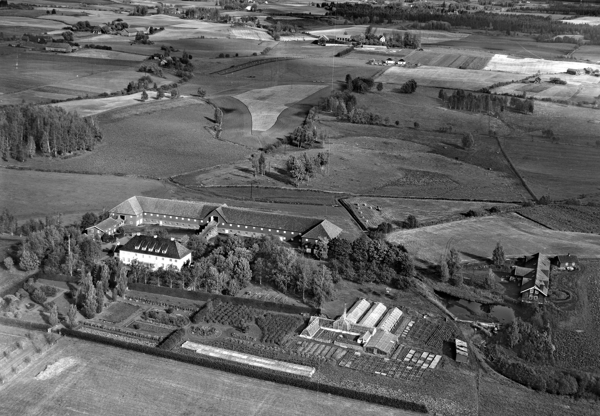 Widerøes Flyveselskap A/S, STAUR FORSØKSGÅRD, FLYFOTO