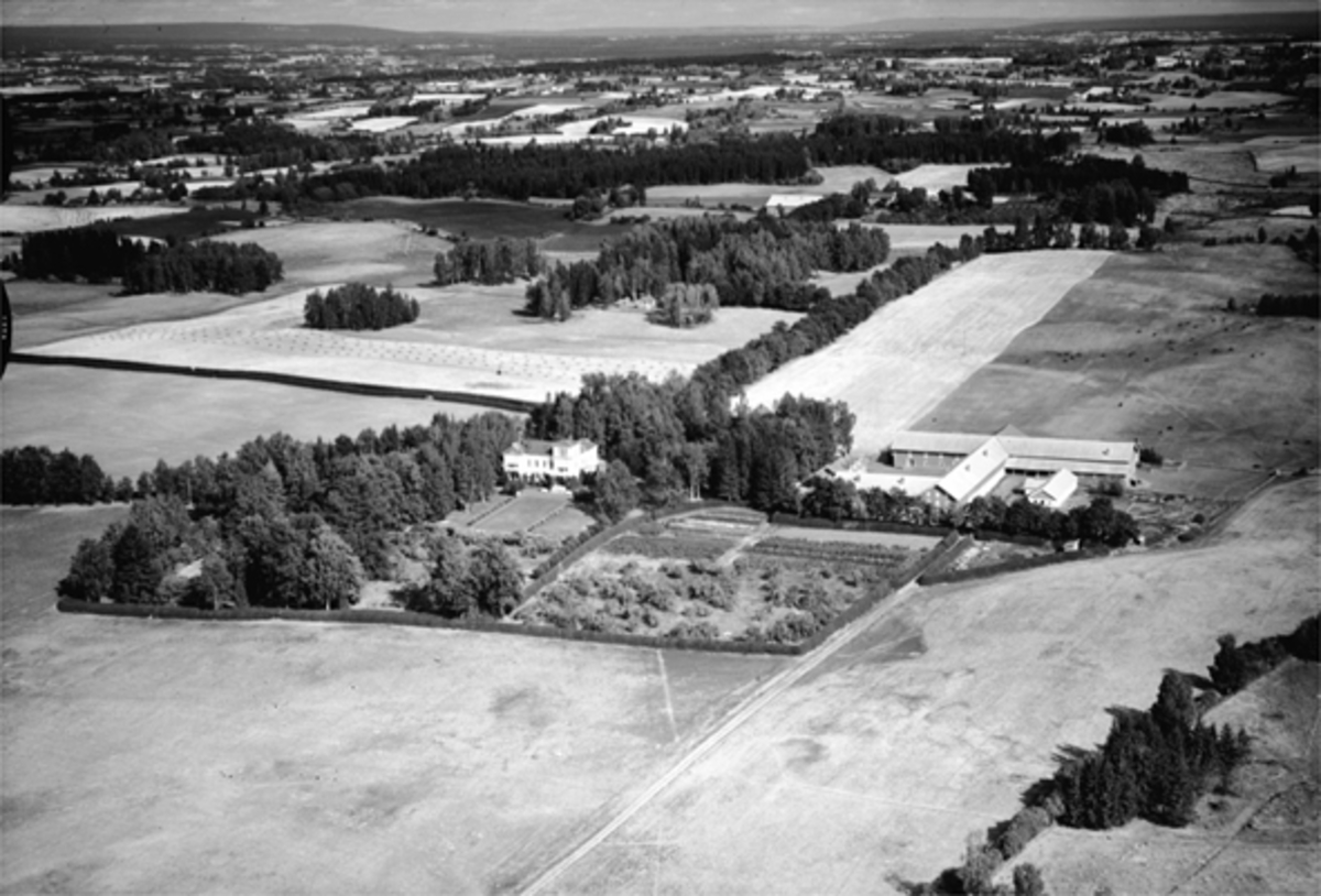 Widerøes Flyveselskap A/S, ATLUNGSTAD, FLYFOTO