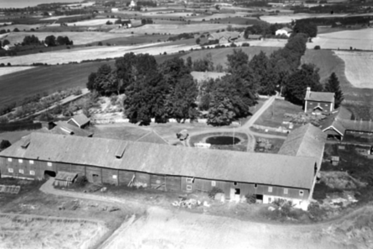 Widerøes Flyveselskap A/S, RE STORE (REE), FLYFOTO