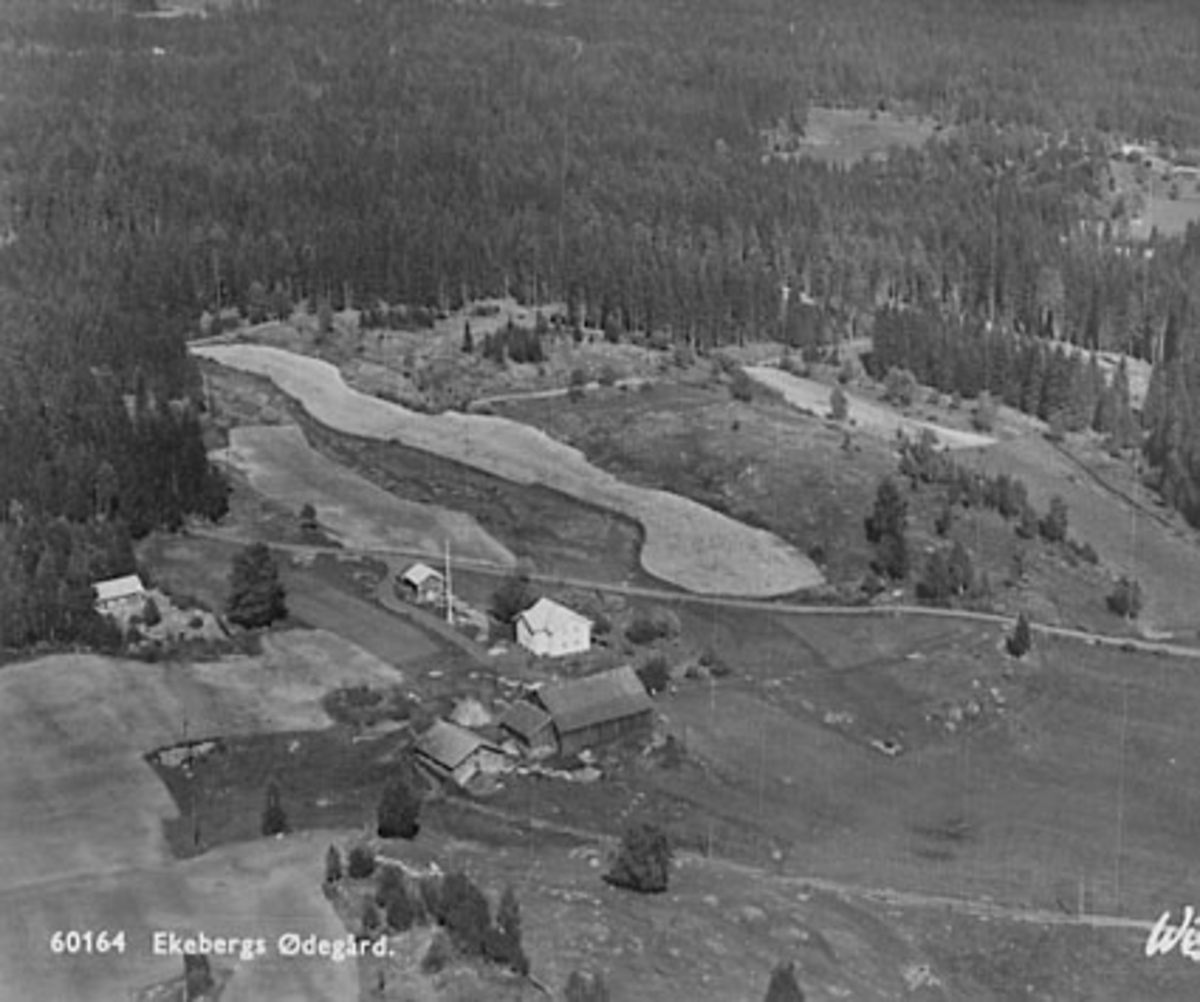 Widerøes Flyveselskap A/S, EKEBERGS ØDEGÅRD, (ØDEGÅRDEN) FLYFOTO