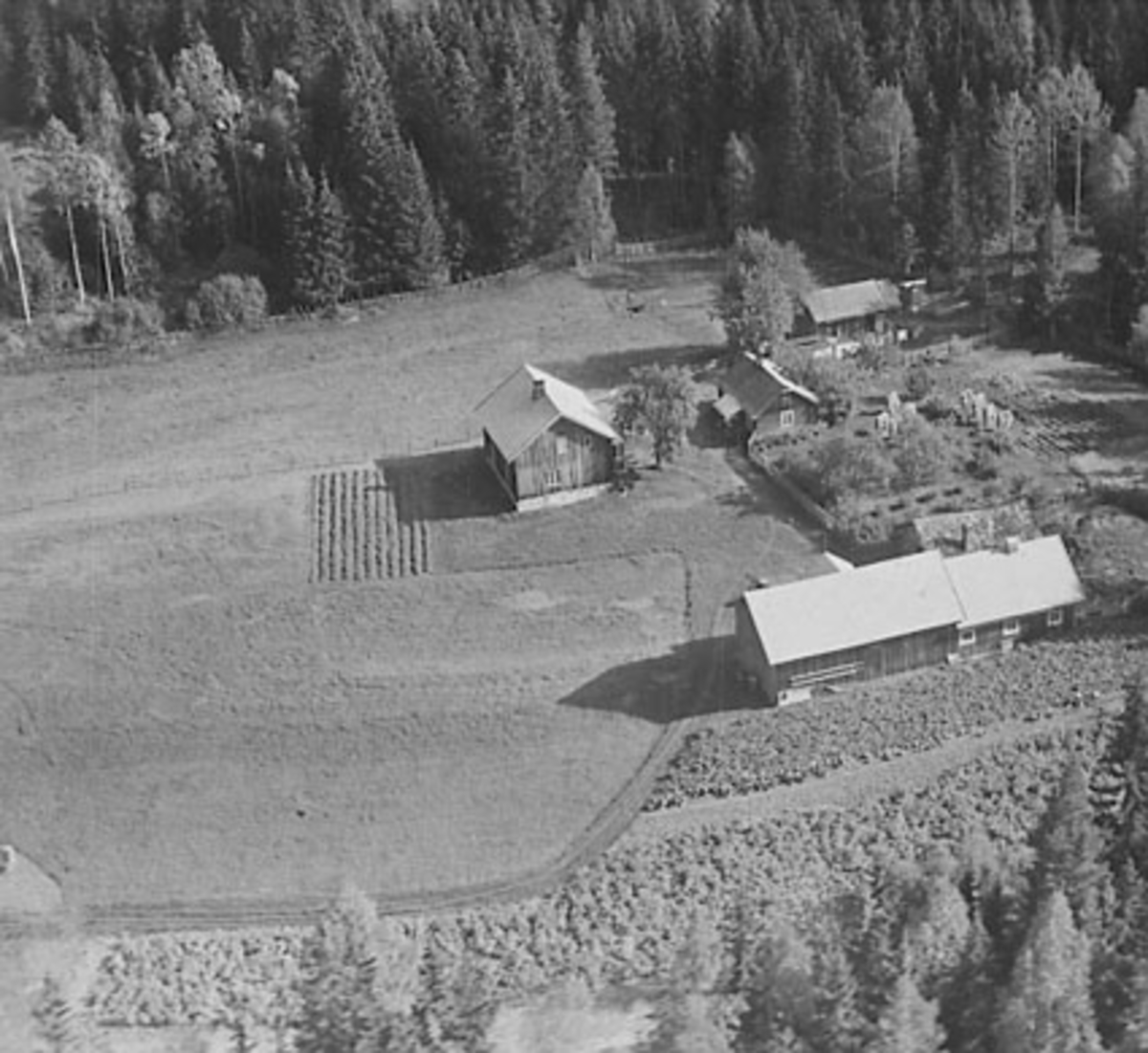 Widerøes Flyveselskap A/S, FLYFOTO VESTERHAUG, ÅSVANG