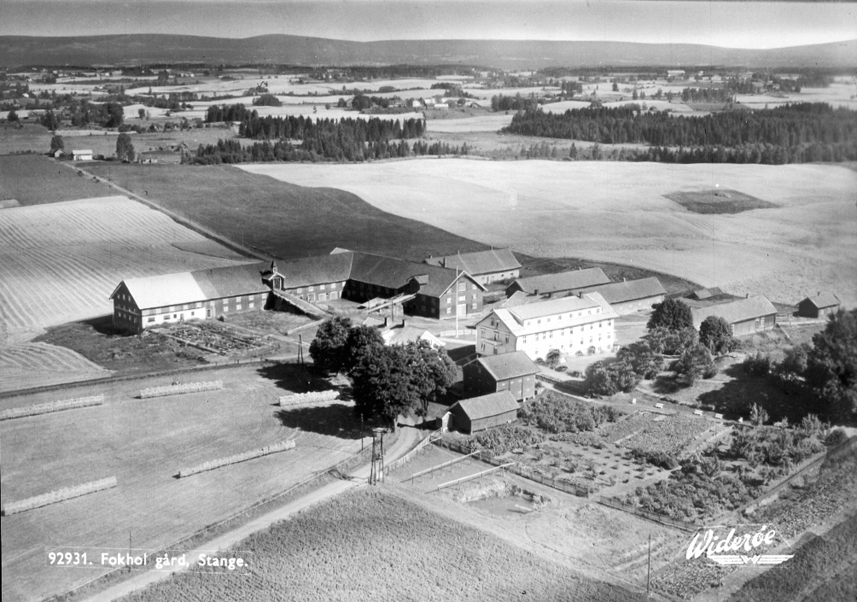 Widerøes Flyveselskap A/S, FLYFOTO FOKHOL, STANGE, POSTKORTNEGATIV