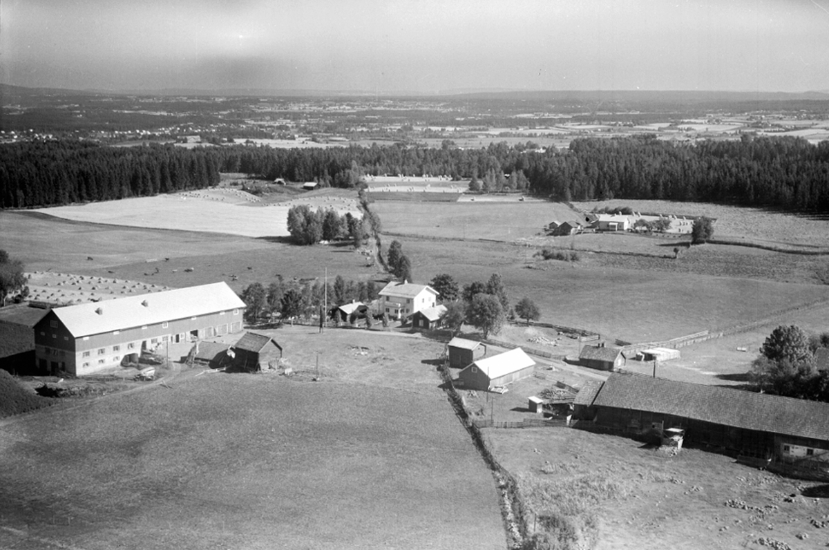 Widerøes Flyveselskap A/S, FLYFOTO RØNE NORDRE, RØHNE