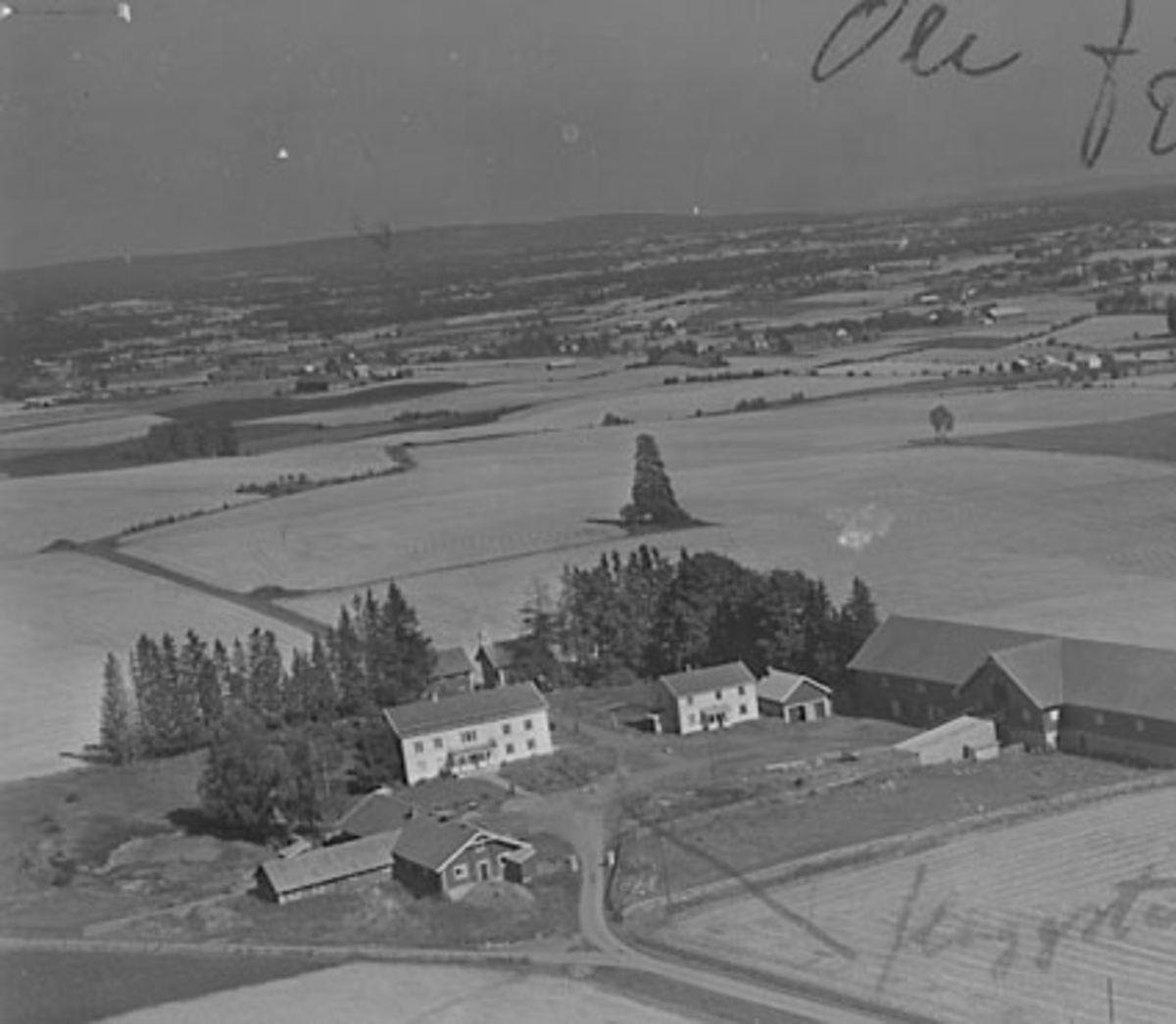 Widerøes Flyveselskap A/S, FLYFOTO AUSTAD