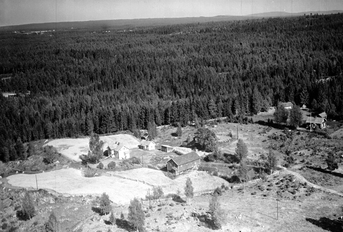 Widerøes Flyveselskap A/S, FLYFOTO STENHAUG ? 256-2, SKOGLI 256-5