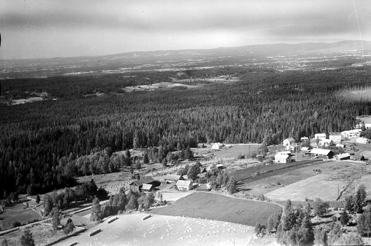 Widerøes Flyveselskap A/S, FLYFOTO HEKNE NEDRE 288-3 OG (FREMST) HEKNE ØVRE 288-1, ÅSBYGDA